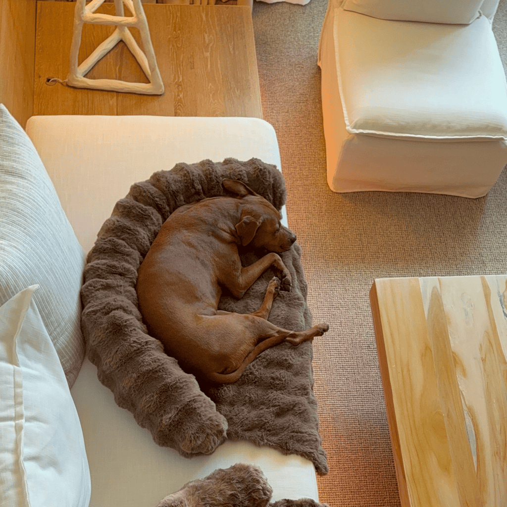 Dog Sofa Bed product image 16