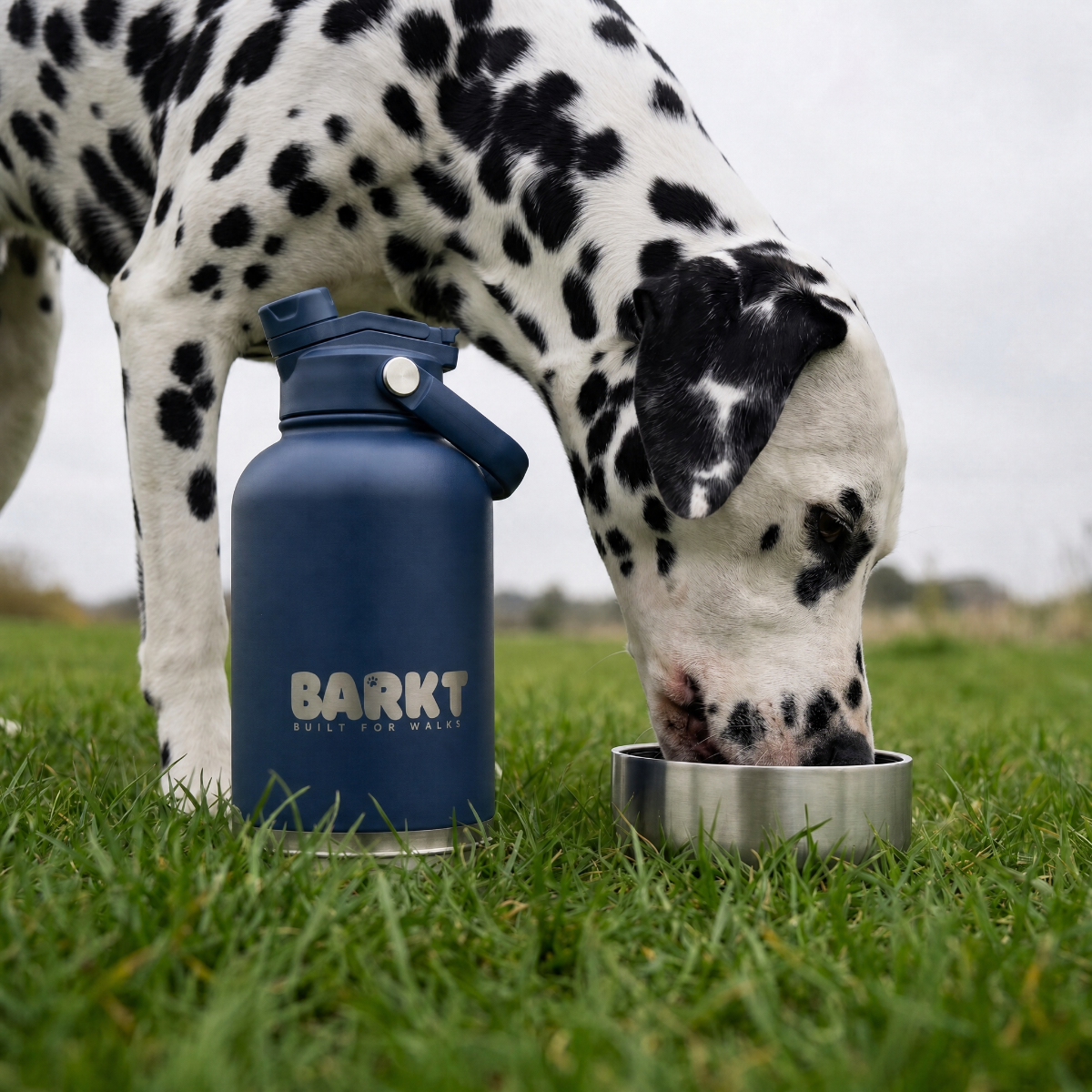 Dog Water Bottle product image 4