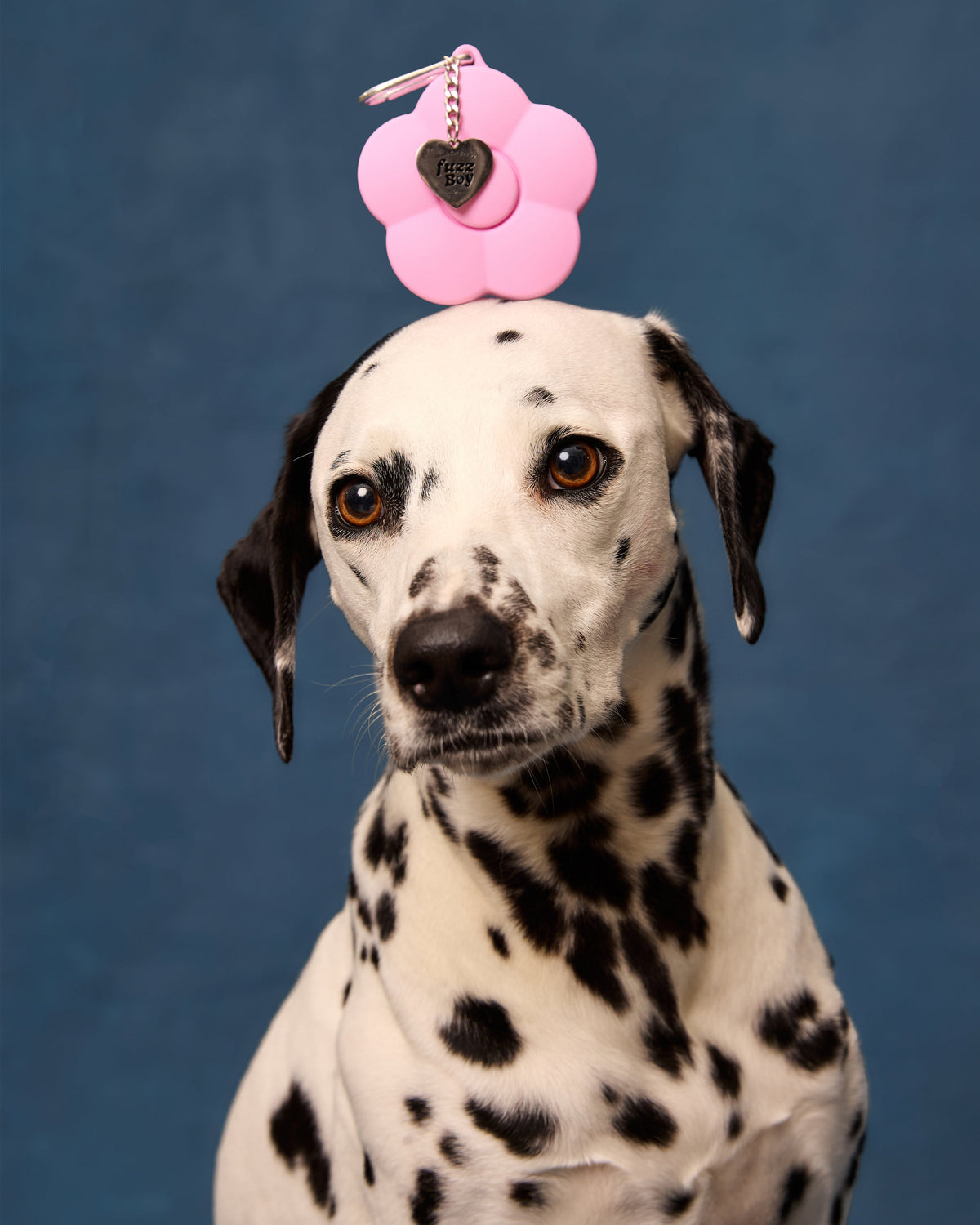 Dog Treat Pouch product image 7
