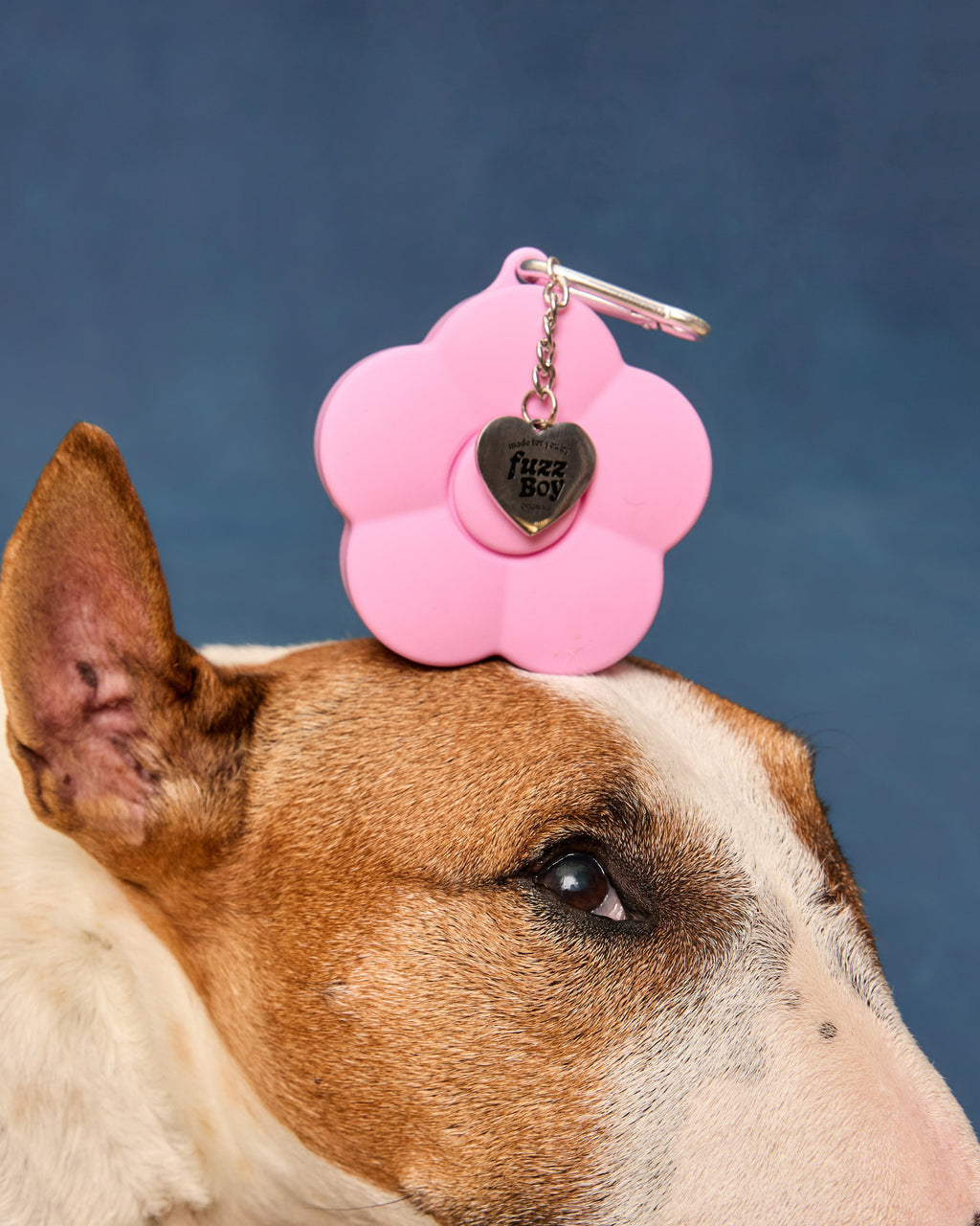 Dog Treat Pouch product image 10