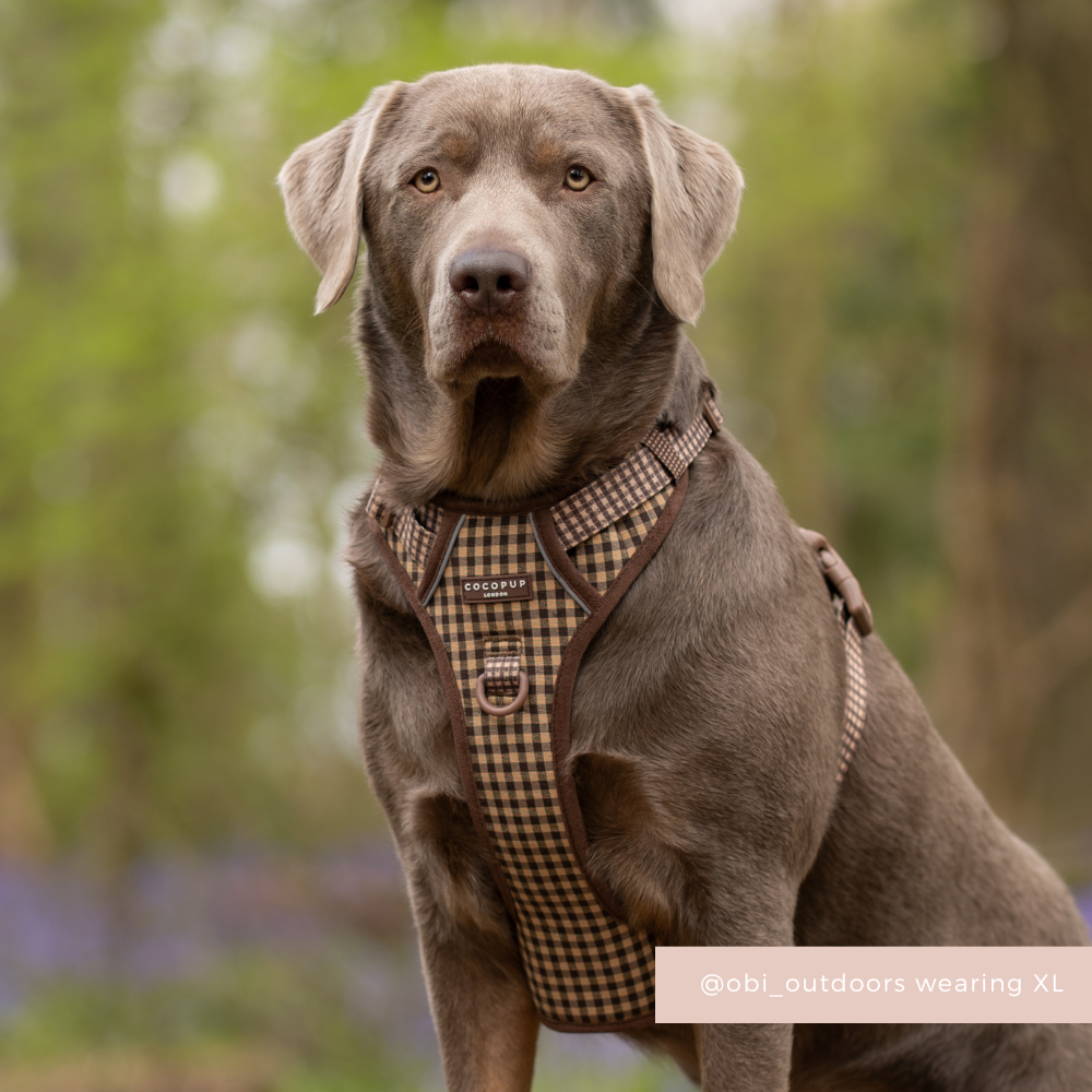 Dog Harness product image 5