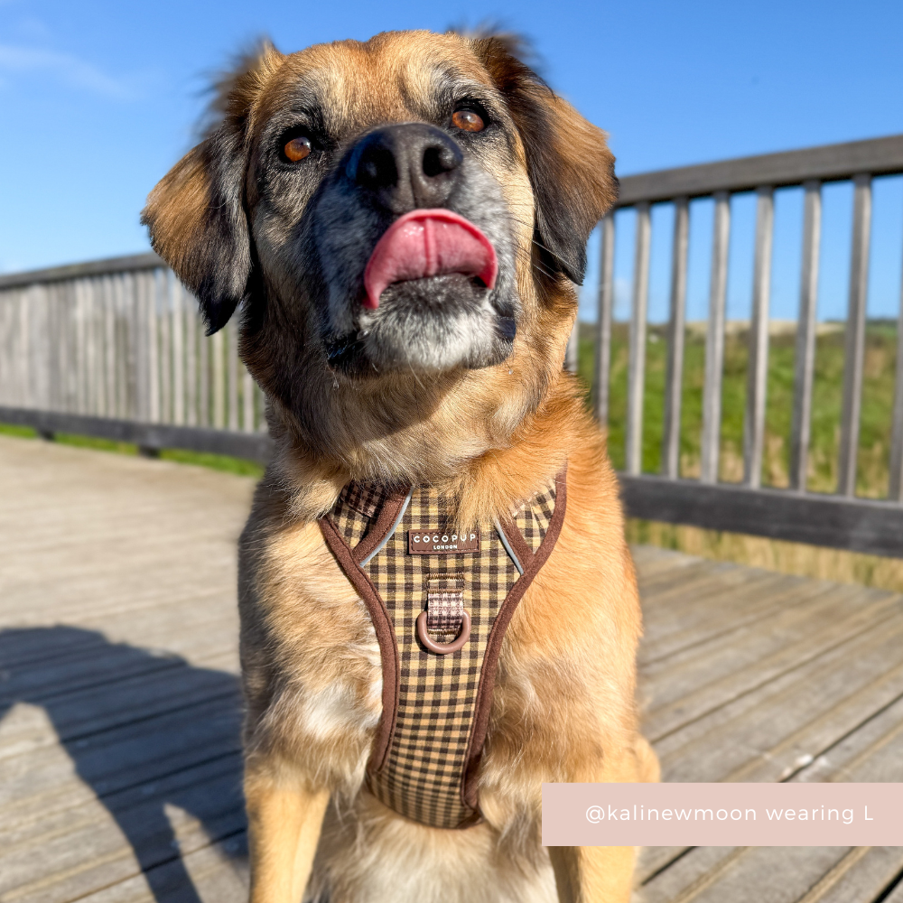 Dog Harness product image 6