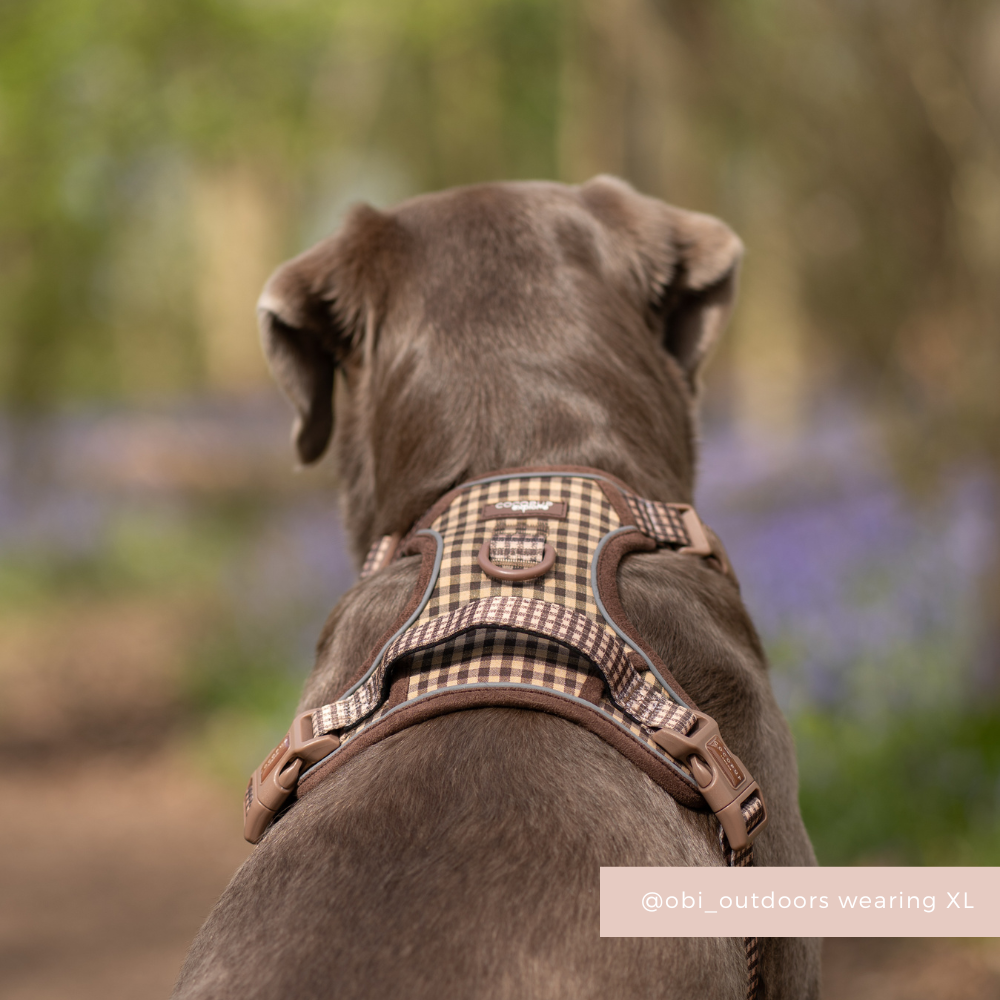 Dog Harness product image 7