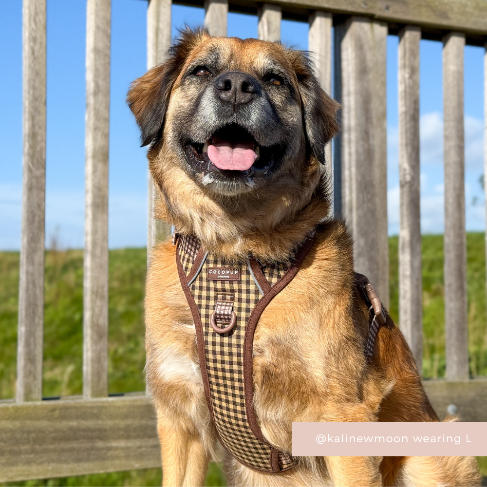 Dog Harness product image 8