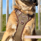 Dog Harness product image 9