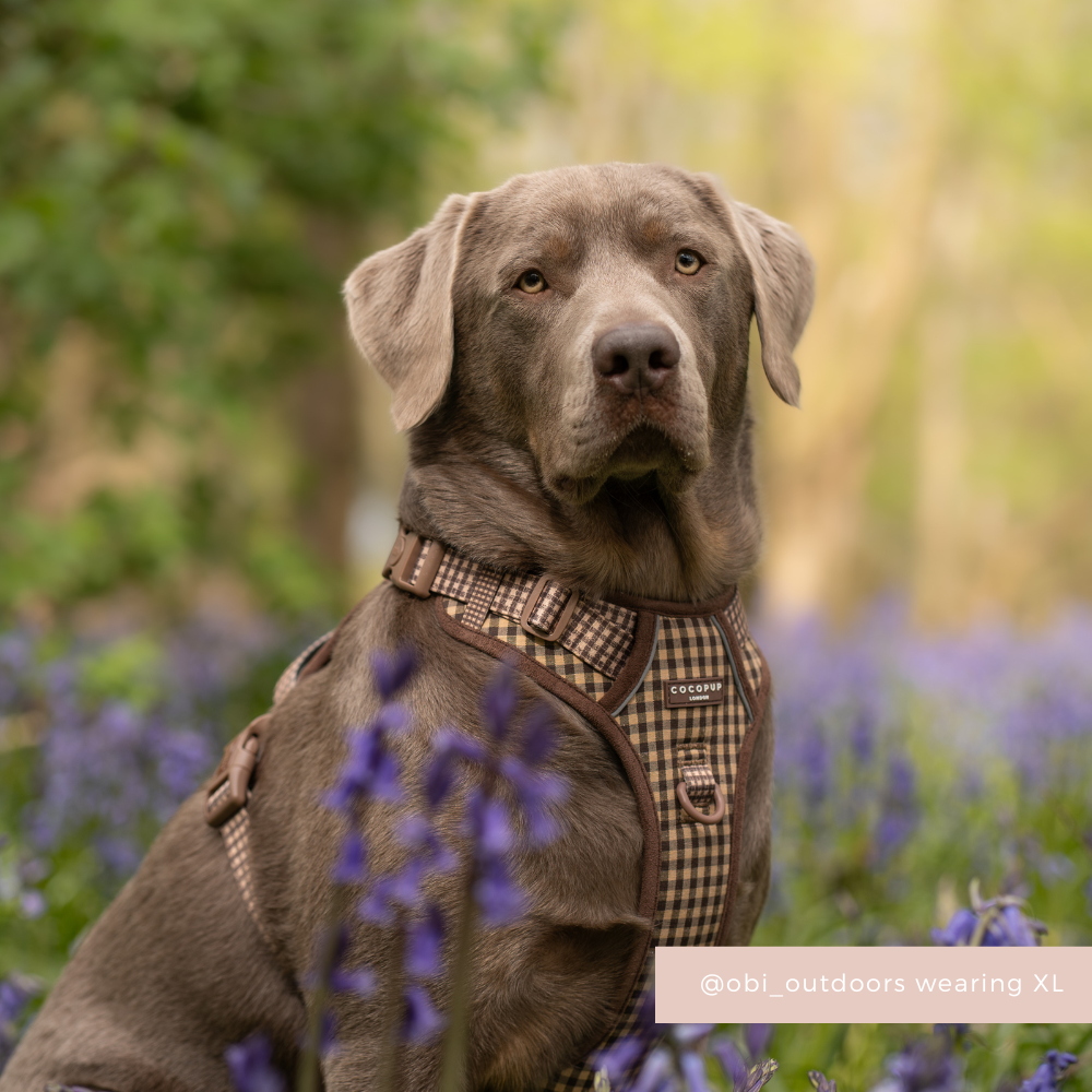 Dog Harness product image 10