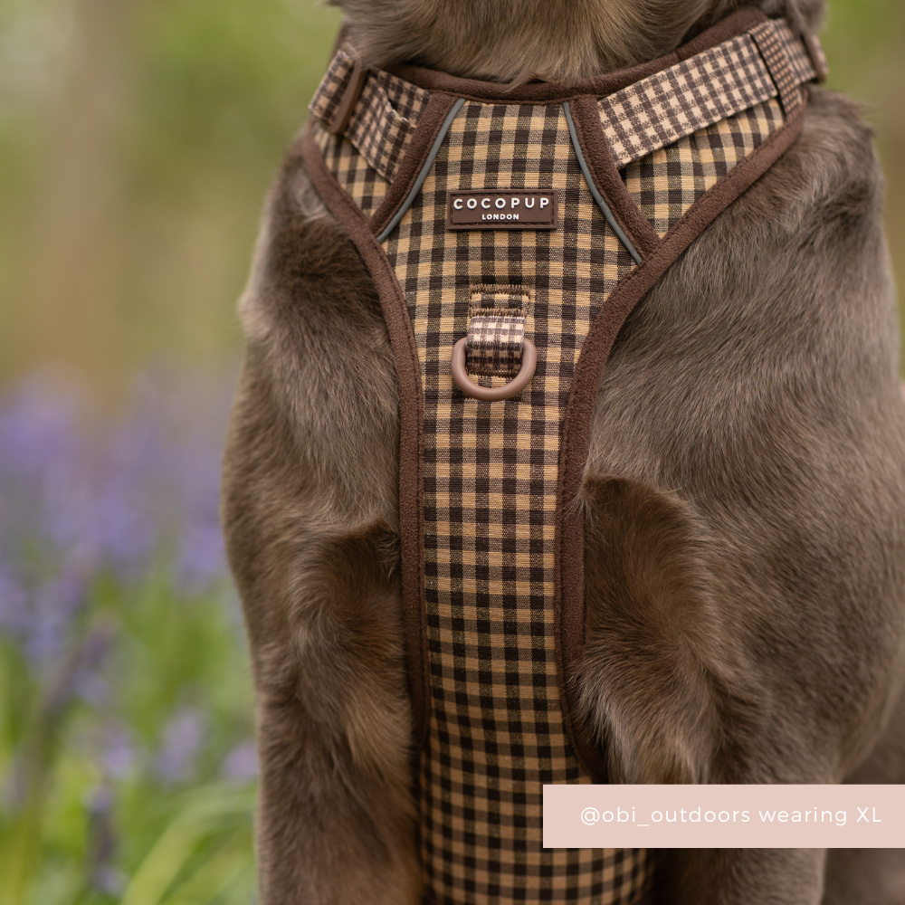 Dog Harness product image 11