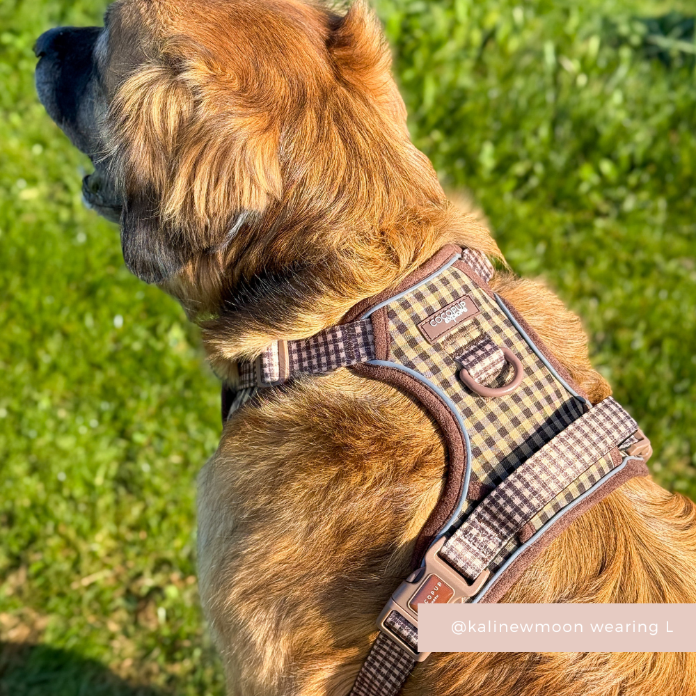Dog Harness product image 12