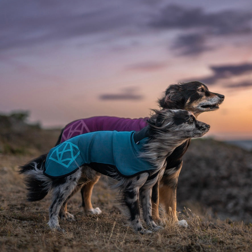 Dog Fleece Jacket product image 2
