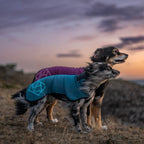 Dog Fleece Jacket product image 2