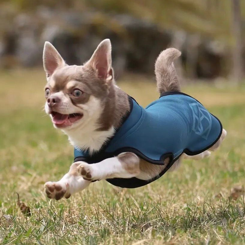 Dog Fleece Jacket product image 4