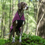 Dog Fleece Jacket product image 5