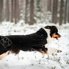 Dog Fleece Jacket product image 6