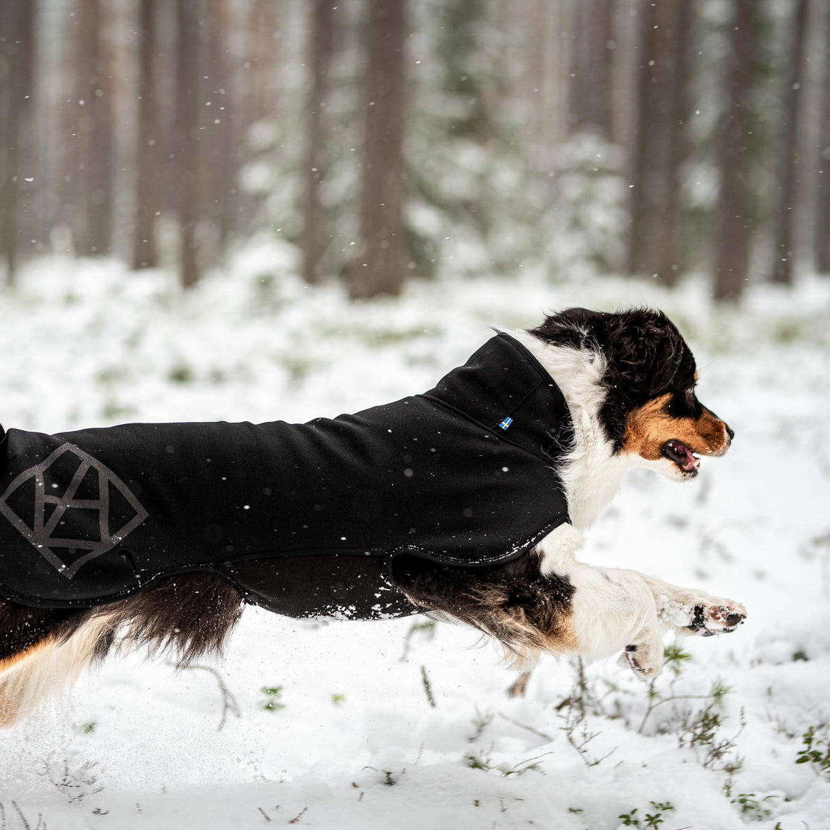 Dog Fleece Jacket product image 6