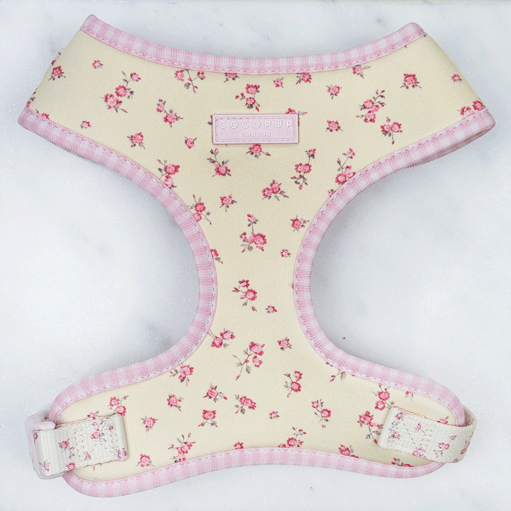 Adjustable Dog Harness product image 1