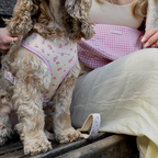 Adjustable Dog Harness product image 6