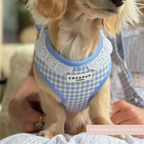 Adjustable Dog Harness product image 4