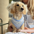 Adjustable Dog Harness product image 5