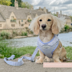 Adjustable Dog Harness product image 6