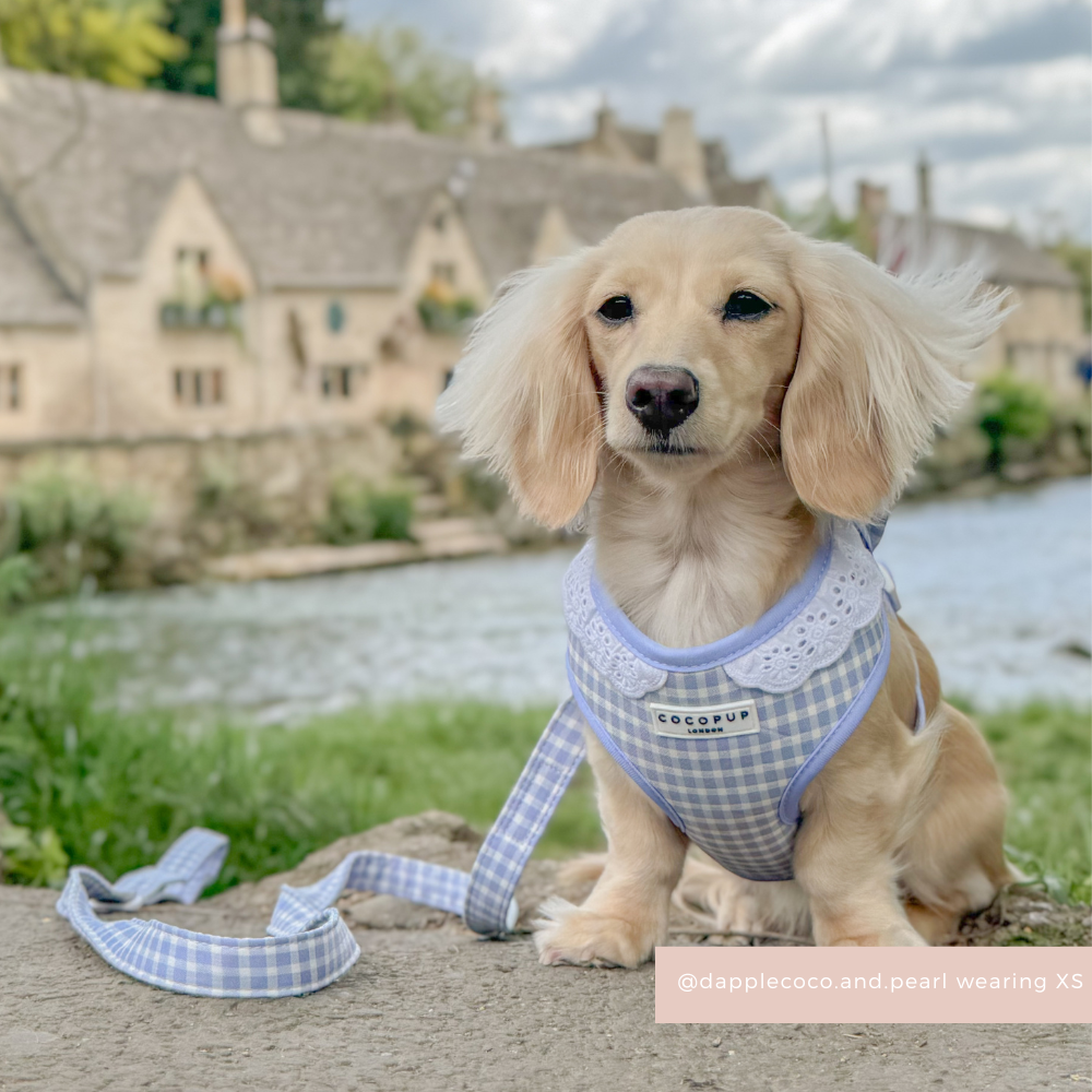 Adjustable Dog Harness product image 6
