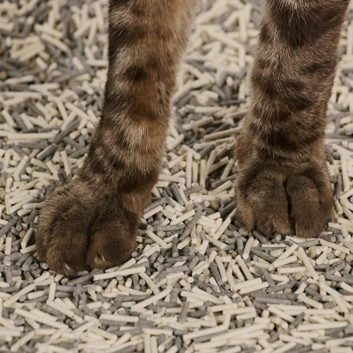Mixed Tofu Low Tracking Cat Litter product image 2