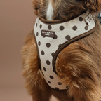 Adjustable Dog Harness product image 4