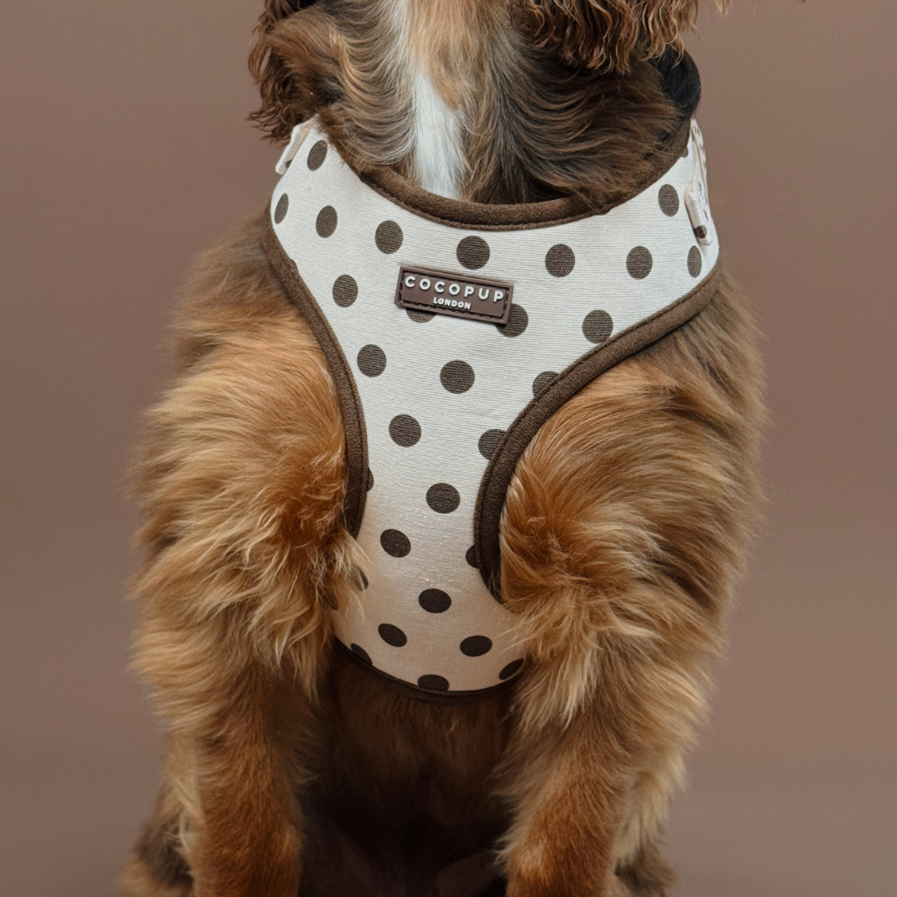 Adjustable Dog Harness product image 5