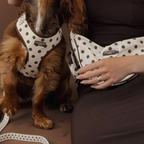 Adjustable Dog Harness product image 6
