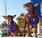 Dog Harnesses product image 7