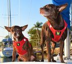 Dog Harnesses product image 12