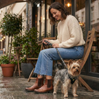 Dog Harness product image 3