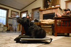 Kennel Cot product image 4