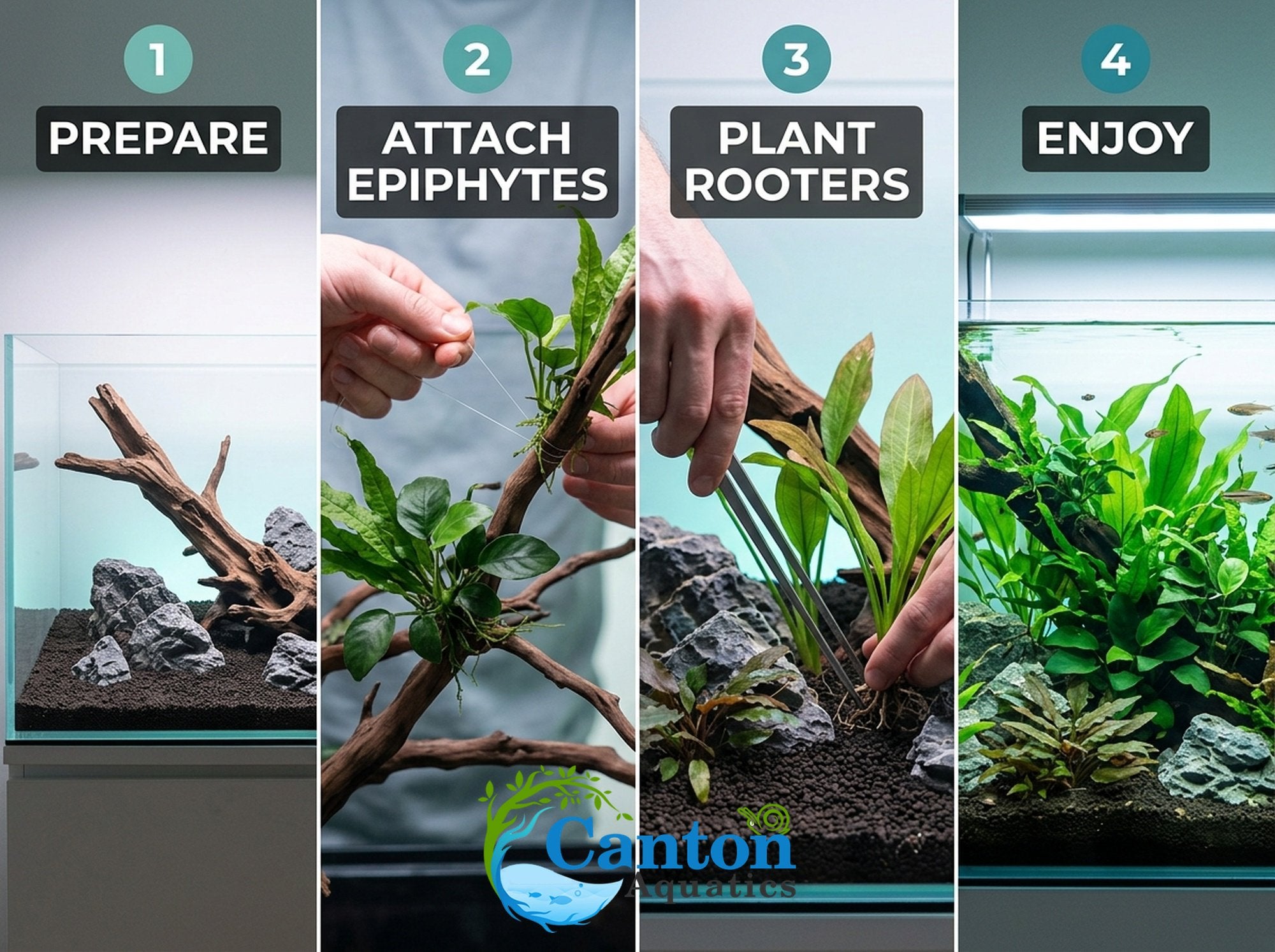 Aquarium Plant Bundle product image 16