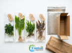 Aquarium Plant Bundle product image 17