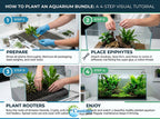 Aquarium Plant Bundle product image 18