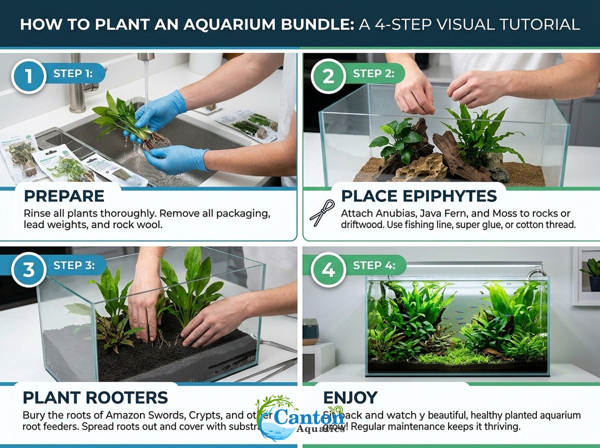 Aquarium Plant Bundle product image 18