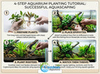 Aquarium Plant Bundle product image 19
