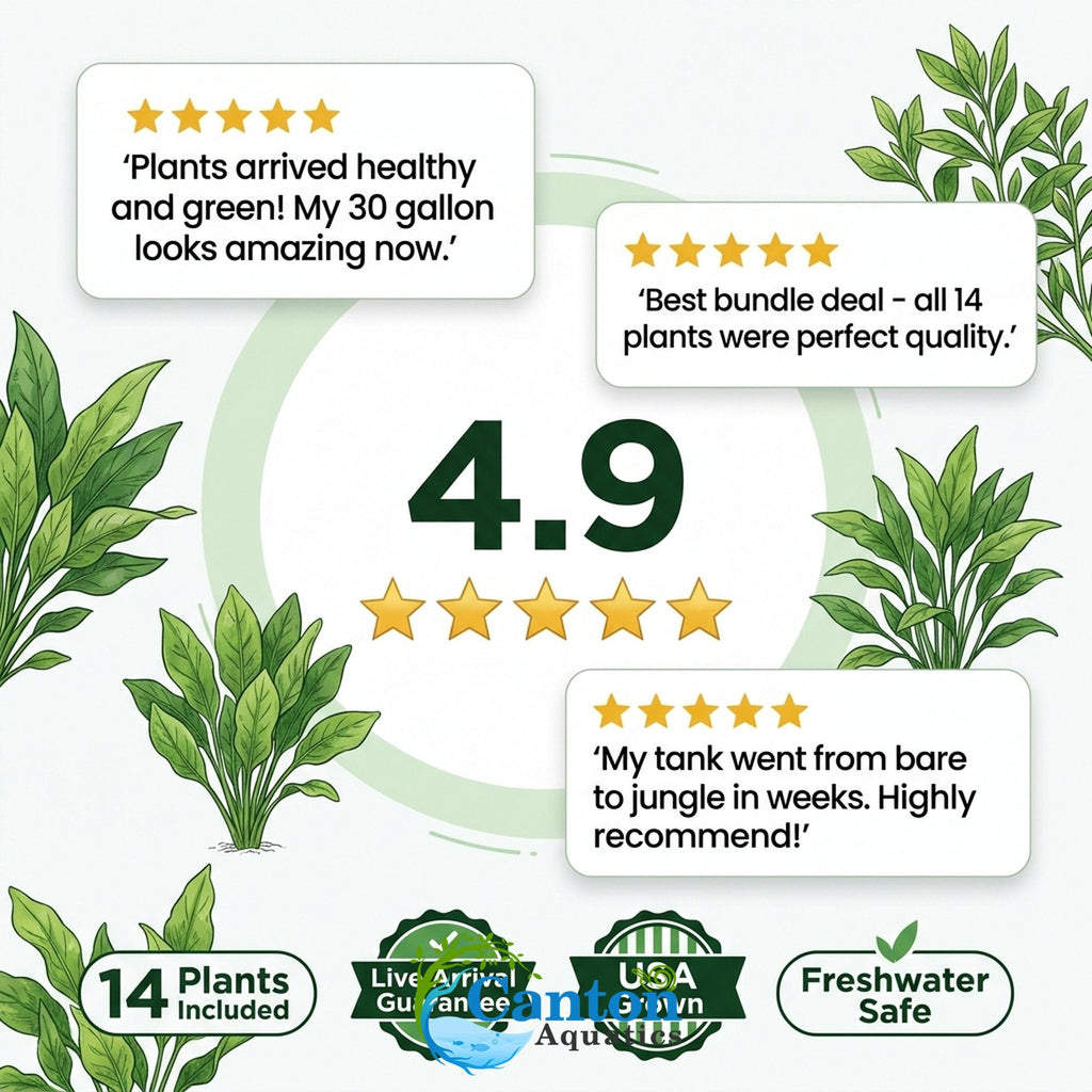 Aquarium Plant Bundle product image 21