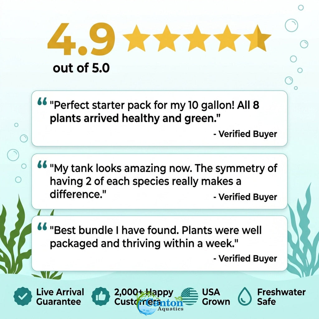 Aquarium Plant Bundle product image 23
