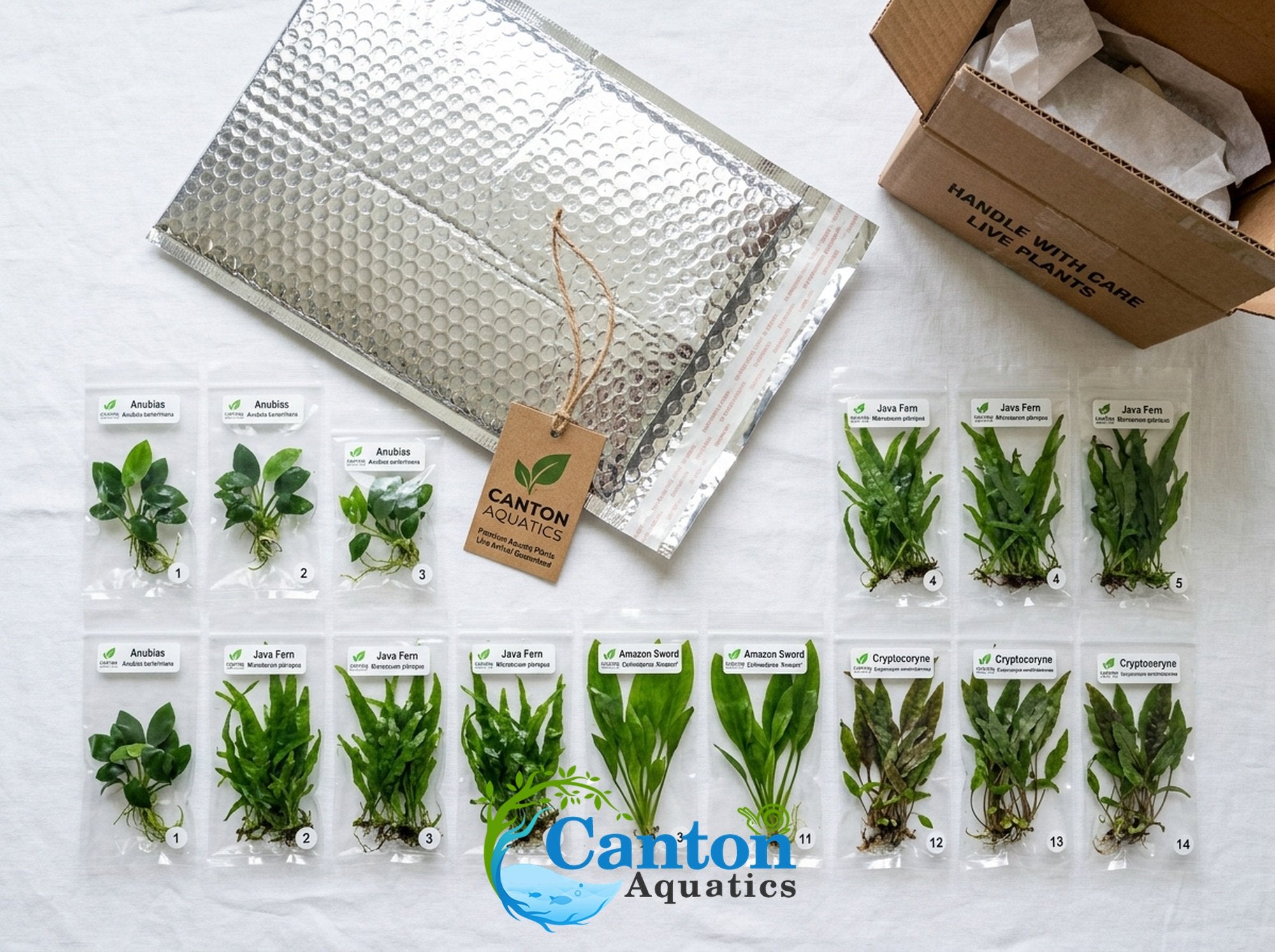 Aquarium Plant Bundle product image 24