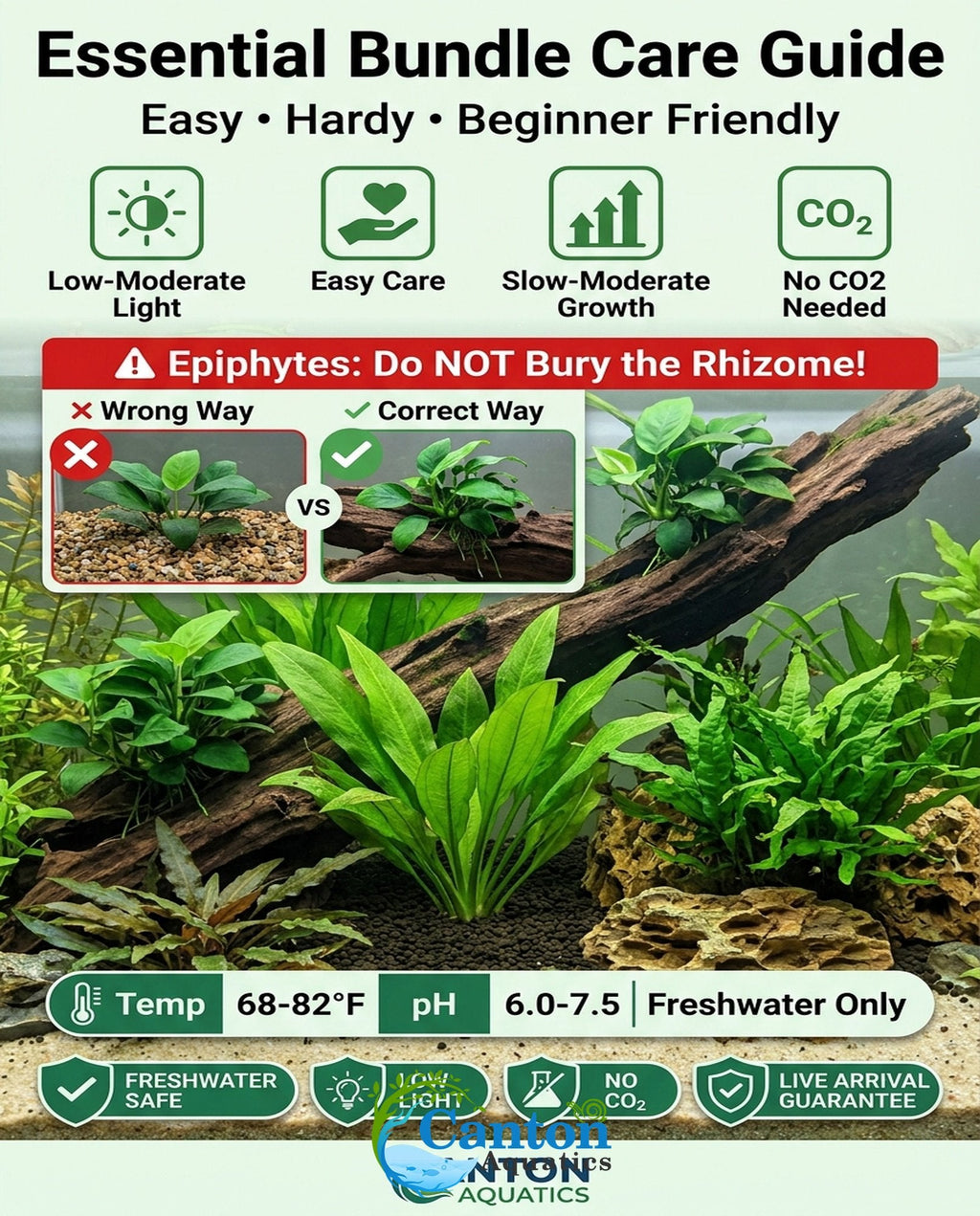 Aquarium Plant Bundle product image 27