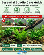 Aquarium Plant Bundle product image 27