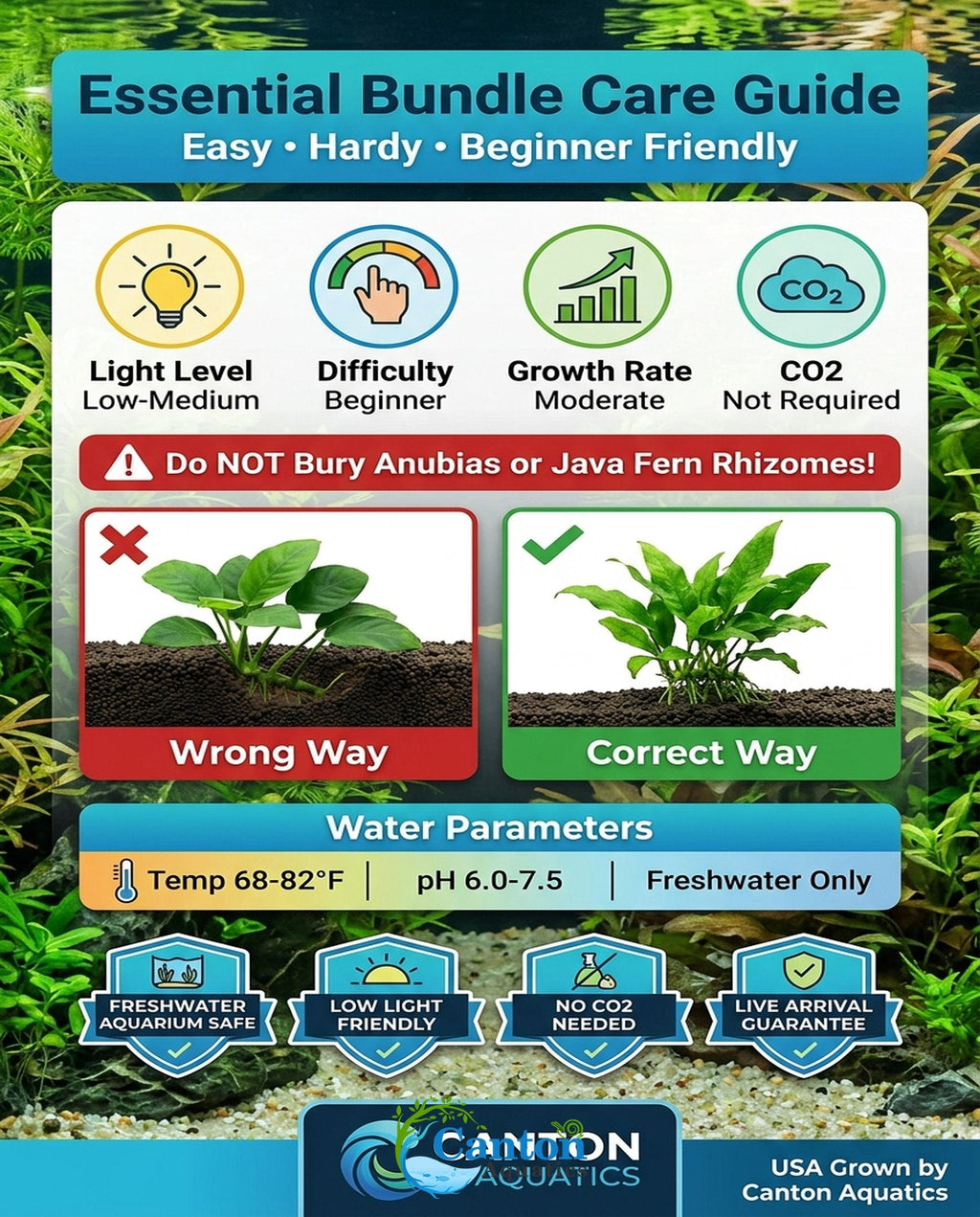 Aquarium Plant Bundle product image 30