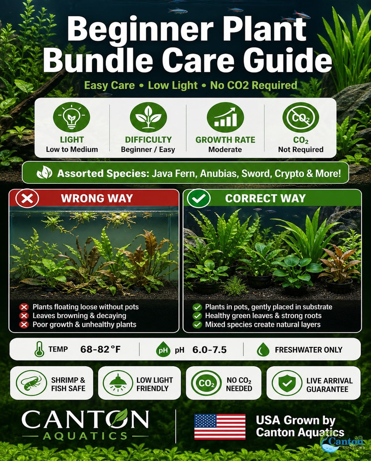 Live Aquarium Plant Bundle product image 7