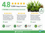Live Aquarium Plant Bundle product image 10