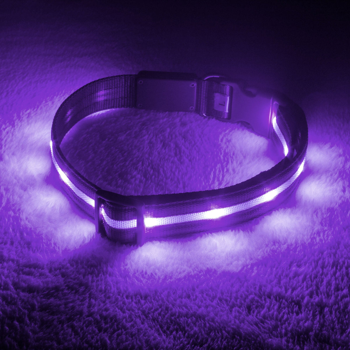 Lavender LED Dog Collar #color_lavender