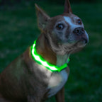 Green LED Dog Collar #color_green