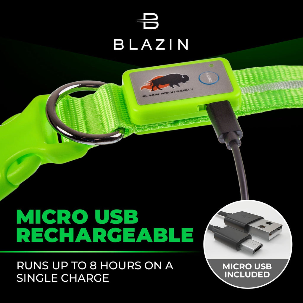 Green LED Dog Collar #color_green