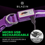 Purple LED Dog Collar #color_purple