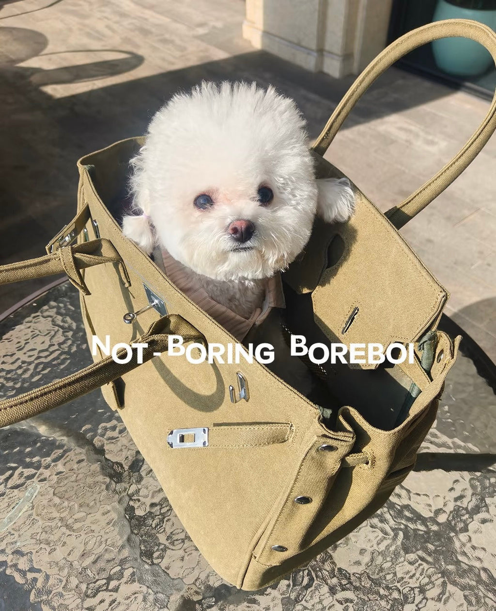 Soft-Sided Pet Carrier product image 8